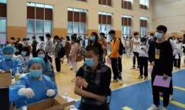 爆料鸡血行情最新消息,鸡血行情最新动态，市场风云再起！