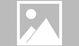 旅顺车祸最新爆料,事故原因揭秘，伤亡情况公布