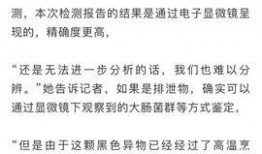 最新老鼠爆料新闻报道,揭秘娱乐圈惊人内幕