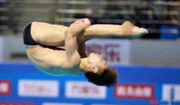 咸宁跳水最新爆料消息,揭秘幕后真相与惊人内幕