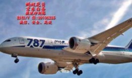 最新爆料小飞机图片视频,科技革新下的飞行新篇章