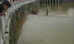 新河爆料最新,揭秘最新热点事件背后的真相