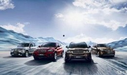 苏州宝马爆料最新消息视频,揭秘神秘视频背后的真相