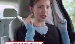 金晨综艺爆料视频大全最新,揭秘明星幕后故事