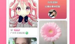 忍者村最新爆料视频下载,最新爆料视频深度解析