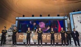 rng打野最新爆料,揭秘赛场背后的神秘力量