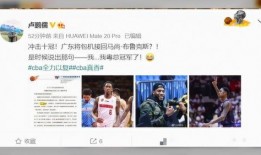 最新爆料宋晨宇,揭秘背后惊人真相