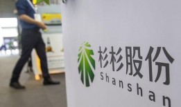 杉杉股份爆料最新消息,揭秘公司重大战略布局与未来发展动向