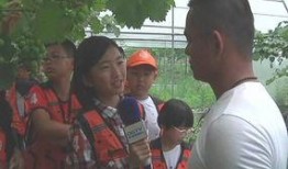 泉港记者爆料事件最新,揭开事件背后惊人真相