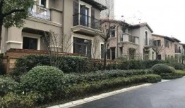 宁波豪宅爆料事件最新