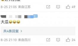 张颖颖爆料分析最新视频,事件真相与幕后黑幕