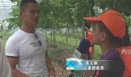 泉港记者爆料事件最新,揭开事件背后惊人真相