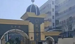 最新爆料致远中学事件是真的吗,最新爆料真相揭秘