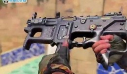 使命召唤爆料最新武器,神秘武器震撼登场，性能解析与实战攻略