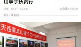 岳阳市最新爆料新闻报道,揭秘重大事件背后真相