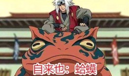 火影忍者最新忍者爆料搞笑,火影忍者最新搞笑爆料，笑料百出！