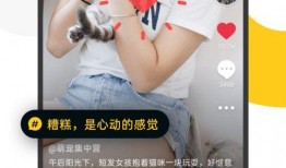 各种爆料小视频大全最新,最新爆料小视频大全汇总盘点