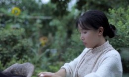 李子柒最新消息爆料视频,揭秘田园生活背后的真实故事